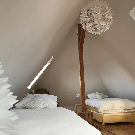 Ferienwohnung Magnolia Mainz